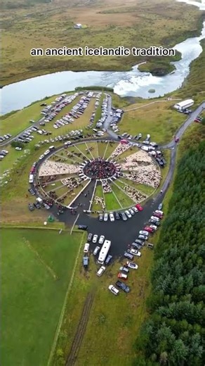 The ole Icelandic Sheep Roundup #iceland