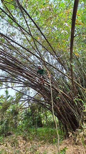 23K views · 7.9K reactions | Network issue.... Funny video,  | Ajay Boro | Facebook