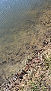 1.2M views · 283K reactions | Sharpest tool in the shed... #wellness #outdoors #boys #fyp #boyswillbeboys #fypシ #dadlife #fishing #fishinglife #countrylife #countryboy #myson #minime #dadsofinstagram #welp #owell #boss #bossman #funny #silly #lol Disclaimer: This content is exclusively managed by Caters News. To license or use in a commercial player please contact licensing@catersnews.com or call +44 121 616 1100 / +1 646 380 1615 | Stephen Moody | Facebook