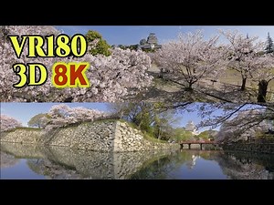 [ 8K 3D VR180 ] 世界遺産 姫路城と桜（兵庫県姫路市） Himeji Castle surrounded by cherry blossoms in Hyogo,Japan