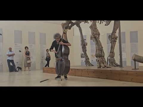 Ferruccio Spinetti contrabbasso solo L'Aquila Il jazz per le terre del sisma