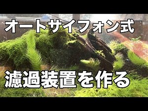 【自作フィルター】オートサイフォンを作る