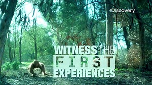 3.7K views · 74 reactions | Are you ready to go back in time and witness the first experiences of mankind? Watch the exclusive premiere of First Man, tomorrow at 9 PM. | Discovery Channel India | Facebook