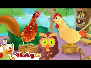 Zebra - Black and White Pajamas 🦓 | Animals for Toddlers @BabyTV - Videos For Kids