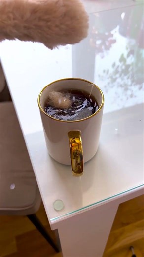 This Grumpy Cat Is PURE MOOD! 😾 #CatLife