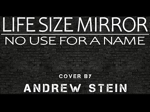 Life Size Mirror - Cover by Andrew Stein (No Use For A Name)