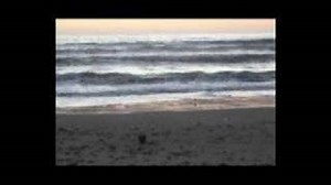 Dropkick Murphys - The Green Fields of France