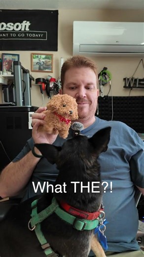 REAL DOGS vs TEMU ROBOT DOG! 🤖🐕 (You Won't Believe This)