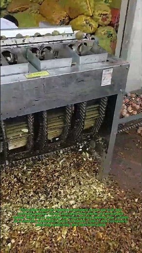 Automatic Fruit Peeling and Seeds Extracting Machine For Round Peeled With Precision