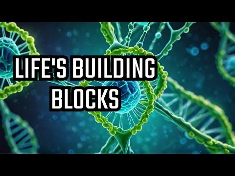 What I Discovered About Gamete Biology That CHANGED EVERYTHING