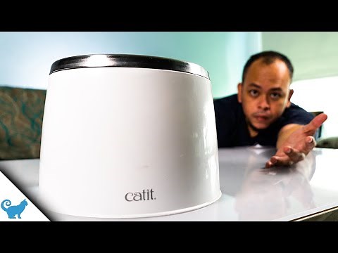 Catit Stainless Steel Water Fountain Review [Is it Worth It?]