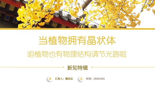 【新知特辑】当植物拥有晶状体~咱植物也有物理结构调节光路啦！！！