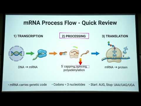 Messenger RNA (mRNA) Explained in 8 Minutes | Structure, Function & Central Dogma