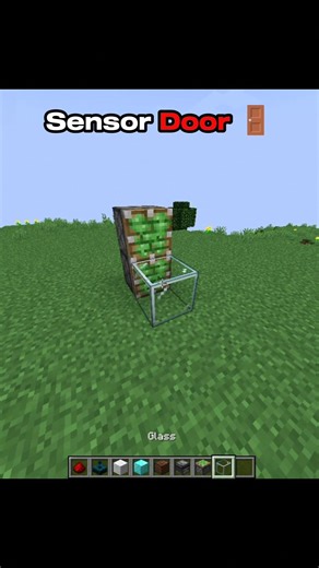 Minecraft Sensor Door 🥶