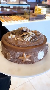 1.5K views · 100 reactions | Our Seashell Chocolate Art Box is ✨PERFECTION✨ (yes, it’s completely edible )  | DeBrand Fine Chocolates | Facebook