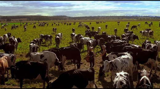 171 reactions · 14 shares | Don’t miss our 20 Year Anniversary show in Tamworth this year! It’s gonna be HUGE! Tickets: https://wests.sales.ticketsearch.com/sales/salesevent/137426 | Sunny Cowgirls | Facebook