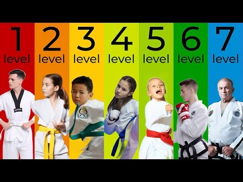 The 7 Levels of Taekwondo