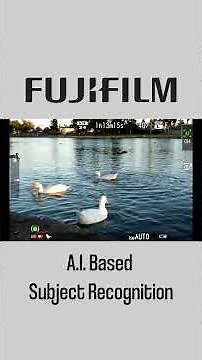 Is This the Best Travel Camera for 2025?