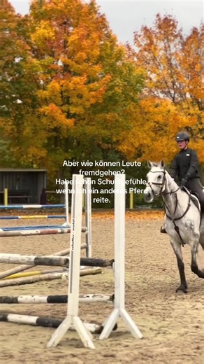 #foryoupagе #reitsport #pferd #liebe #fremdgeher