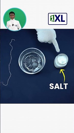 How to Pick Up Ice with a String?! The Salt Secret Revealed! #scienceforkids #funscience