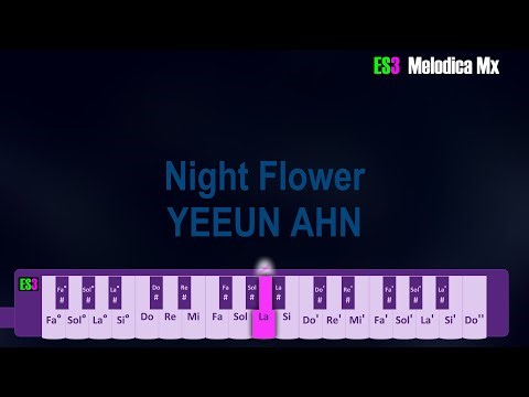 Night Flower YEEUN AHN Melodica Con Notas.