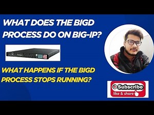 What Does the bigd Process Do on BIG-IP?