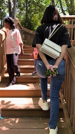 Pak De Swiss on TikTok