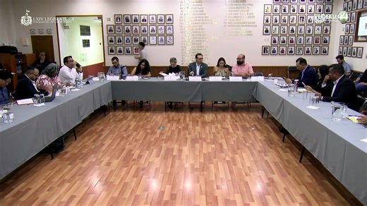 Quieren quitar obstáculos para impulsar el referendum y el plebiscito