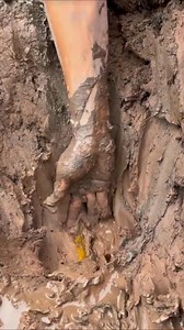 662K views · 3K reactions | Bongkar lubang belut #fishing #ngurek | Pandu Wilantara | Facebook