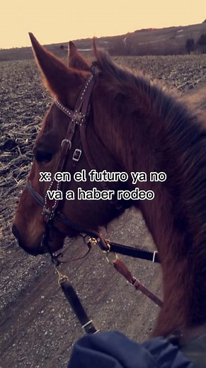 Traditional Chilean Rodeo and Huaso Culture
