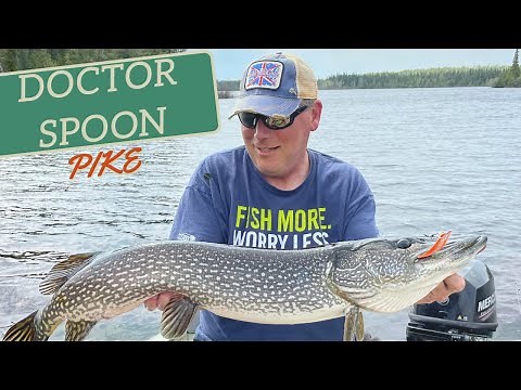 Doctor Spoon Pike