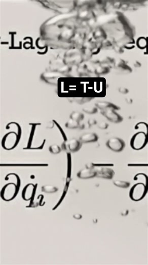 Euler-Lagrange equation