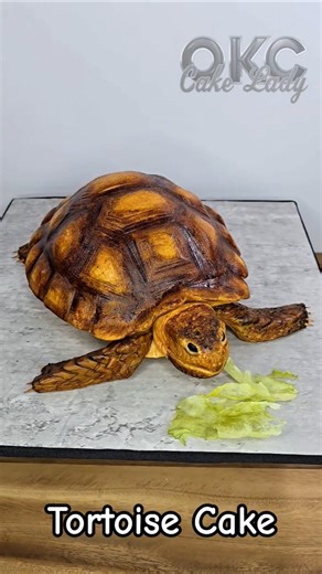 Tortoise Cake! I can't wait to show y'all how I made him. #cake #cakedecorating #art #tortoise #fun
