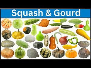 Types Of Squash And Gourds | Explore Squash And Gourds From Around The World
