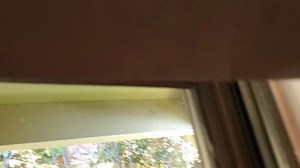 Watch How to Install the Redi Shade Pleated Paper Shade on Amazon Live