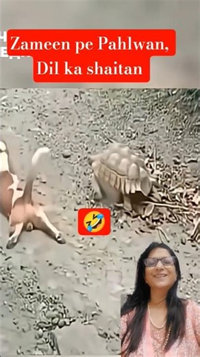 The Cutest Mimicry Ever 😲😲😲🫣😂😂😂😂😂🤣🤣🤣🤣🤣😅😅😅. 🐶💥🐢