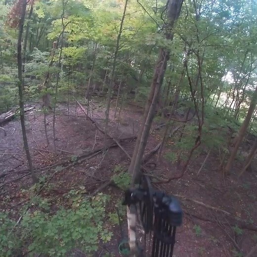 Bow deer hunt filmed with go pro