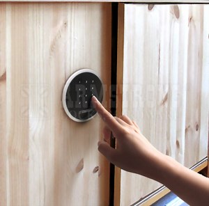 Electronic Sliding Door Locks