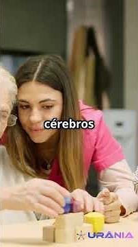 Como funciona o cérebro humano e por que ele é tão poderoso?
