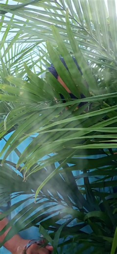 🚀 Most people don’t have a prompting problem… they have a PURPOSE problem.Everyone wants “better prompts,” but nobody asks the real question:Why are you prompting in the first place?Basic… | Mike Pina, MBA