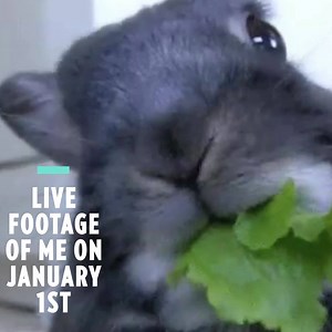 New year, new me! | People