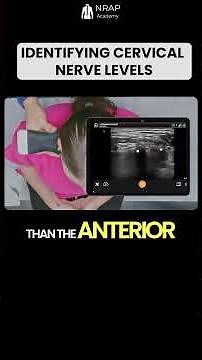How We Identify Cervical Levels On Ultrasound
