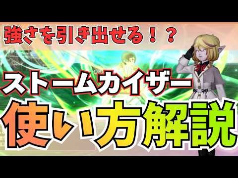 【ドラクエ10】ストームカイザー使い方解説【DQX Ver.8.0】