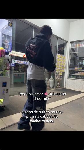 Jumping Over Walls: A Funny Encounter with a Dog