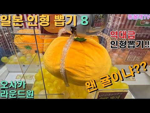 일본 인형뽑기 8 (오사카 도톤보리 라운드원 센니치마에), 올해 마지막 인형뽑기