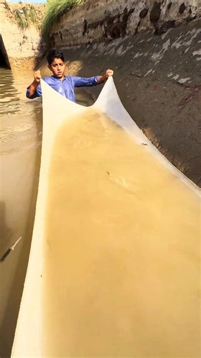 Awesome Catching...🐟😱 #huntingfish #hunting #fish #netfishing #fishhunting | Bilal Digital