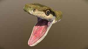 Snake head - Download Free 3D model by absol (@absol_cg)