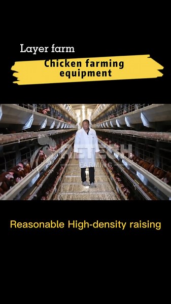 29 reactions | #RETECHFARMING Large Scale Automatic Chicken Farm More details：https://product.retechfarming.com/h-type-layer-cage-facebook/  WhatsApp: +86 185 6181 8850 Email： admin@retechfarming.com #RETECHchickencage #chickencage #chickenfarm #poultryfarm #modernfarmhouse | Retech Farming Chicken Cage Poultry Equipment | Facebook