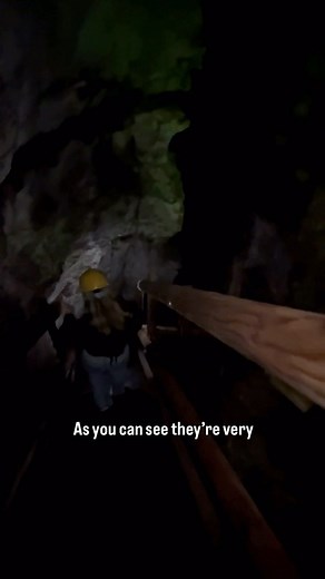 Would you dare to venture inside Tom Taylor’s cave? 👻 😱 #caving #haunted #tomtaylor #cave #ukcaves #explorecaves #outdooractivities #northyorkshire #howsteangorge | How Stean Gorge