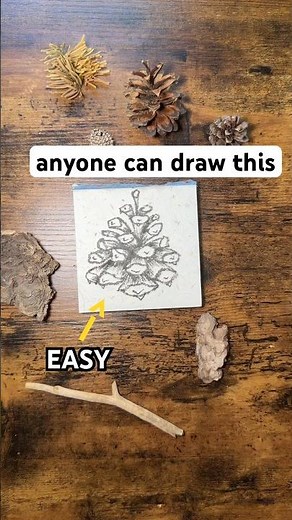Exploring drawing techniques: how to draw a pinecone! #howtodraw #drawingtutorial